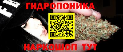шишки Азнакаево