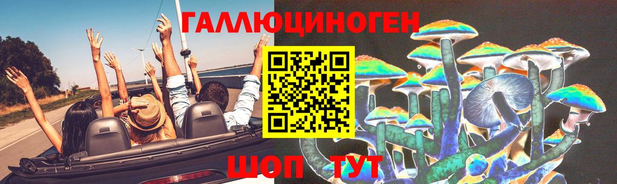 Псилоцибиновые грибы Psilocybine cubensis  Вход с VPN  Амурск 